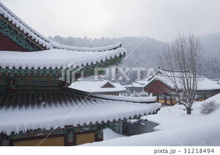 大法輪前 五台山 月精寺 31218494