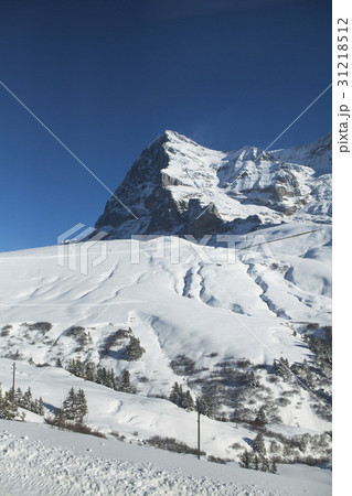 雪景色 スイスの 子供巨峰 31218512