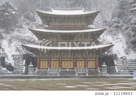 古建築 仏教 忠清北道 31218603