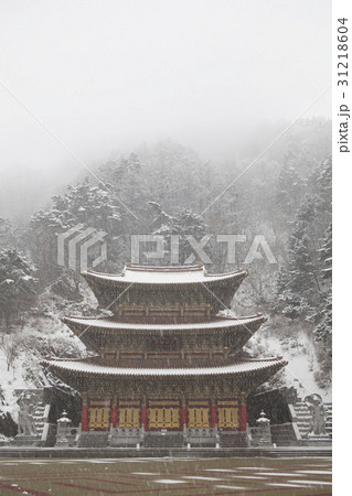 冬 グインサ 国立公園 31218604