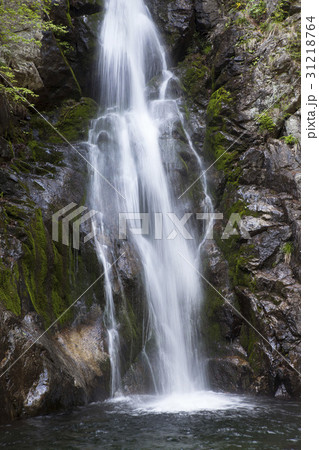 慶北 小白山 崖 31218764