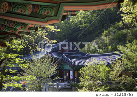 国立公園 山 小白山 31218768