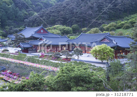 古建築 席従事 忠州市 31218771