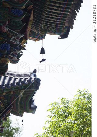 軍自社 軒下 忠清北道 31218781