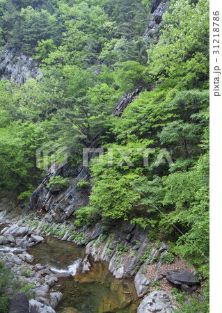 丹陽郡 岩 石 31218786