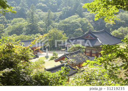 慶北 国立公園 人の奉仕 31219235
