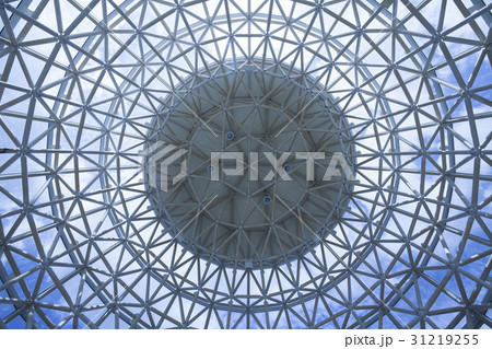 ローアングル 下アングル 低角度 31219255