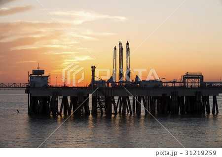 夕焼け 海 シルエット 31219259