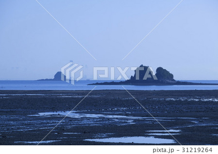干潟 海 朝 31219264