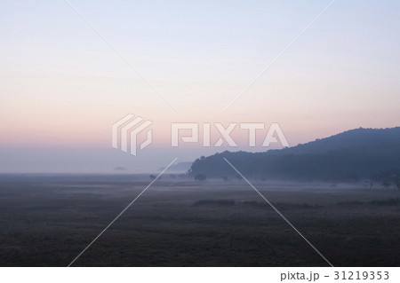 京畿道 キョンギド 夜明け 31219353