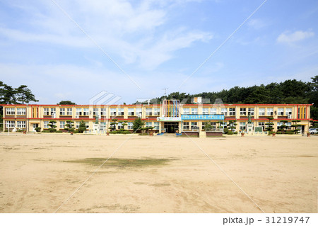 木 運動場 小学校 31219747