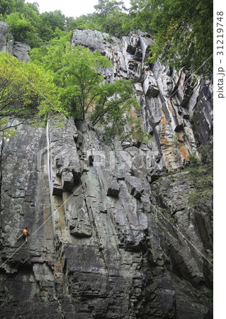 岩 石 グー 31219748