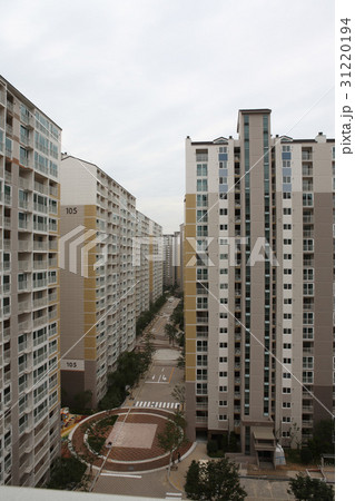 高層マンション 木 道路 31220194