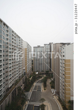 京畿道 キョンギド 城南市 31220447