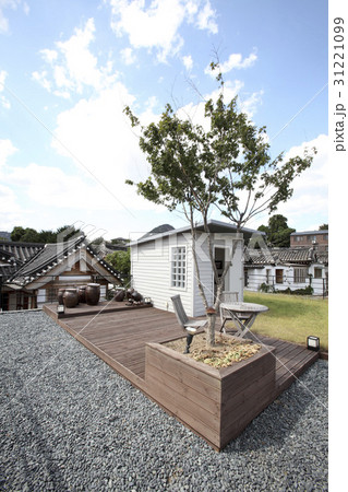 建築 ソウル かめ 31221099