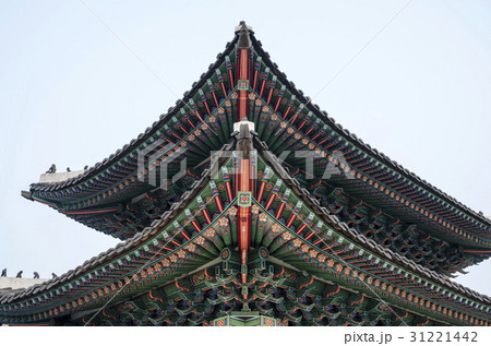 古建築 ローアングル 宝物 31221442