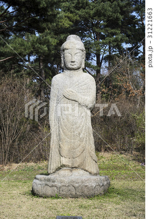 仏 釈迦 ブッダ 31221663