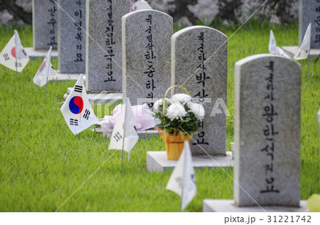 ゼオライト ソウル 韓国 31221742