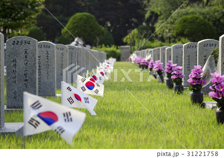 多数 ゼオライト ソウル 31221758