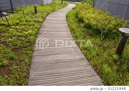北ソウル夢の森 トレイル 江北区 31221948