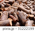 ウッド 木材 木 31222199