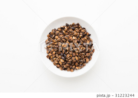 麦茶 31223244