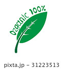 Organic 100% 31223513