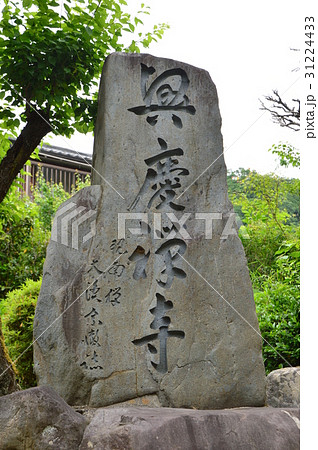 陣馬街道の初夏を歩く　八王子市 31224433