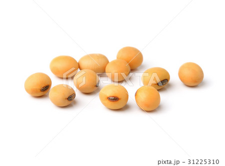 soy beans on white background. 31225310