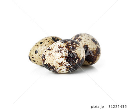 quail eggs  isolated on white background 31225456