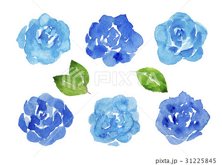 青いバラ 水彩イラストのイラスト素材