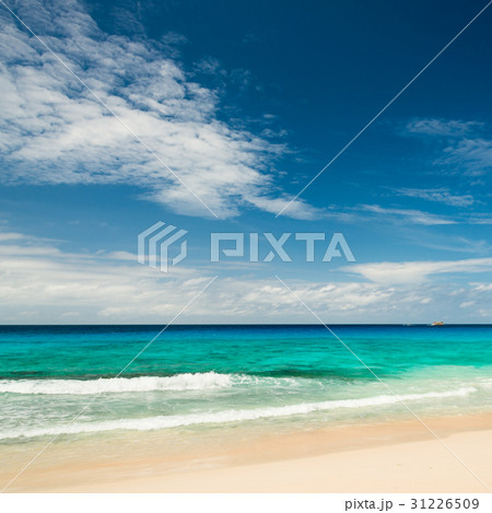 tropical beach 31226509