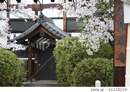 宝塔寺 宝塔寺 31228219