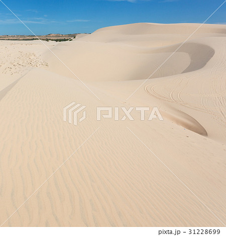 white sand dune desert in Mui Ne, Vietnam 31228699