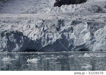 北極圏の風景 31229170