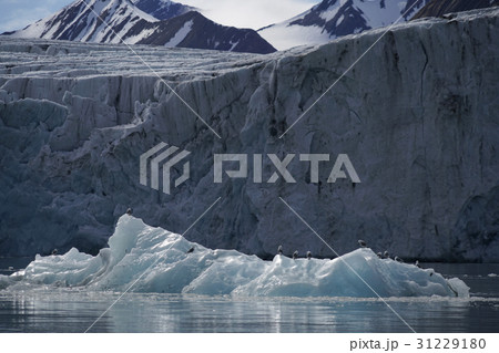 北極圏の風景 北極圏の風景 31229180