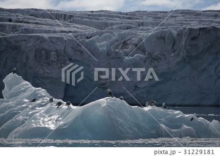 北極圏の風景 31229181