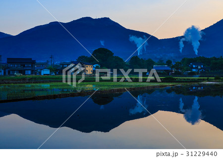 湯布院の夜明け　田植え前　田園風景 31229440