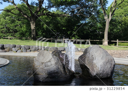 公園 公園 31229854