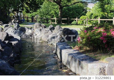 公園 公園 31229861