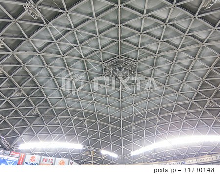 ナゴヤドームの天井 ナゴヤドームの天井 31230148