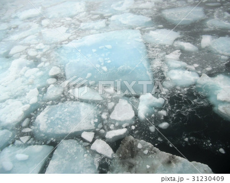 北極圏の流氷 31230409