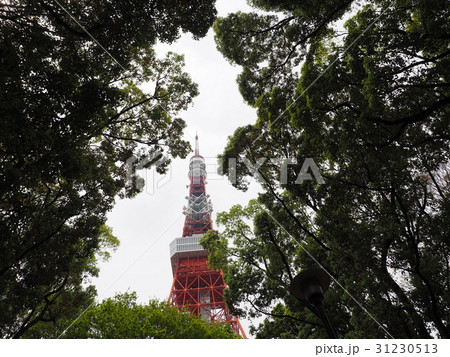 木々の合間から見える東京タワー 木々の合間から見える東京タワー 31230513