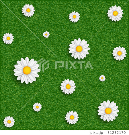 grass and flowers. 31232170