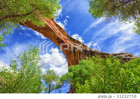 Natural Bridge 31232750