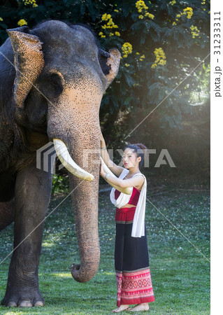 Asian girl in traditional Thai dress 31233311