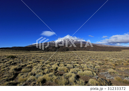 Snowcovered Volcano Tromen, Argentina Snowcovered Volcano Tromen, Argentina 31233372