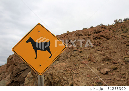 Warning sign for goats on road, Patagonia 31233390