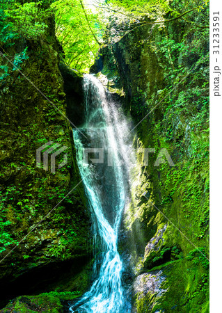 《東京都》海沢渓谷・大滝《奥多摩》 31233591