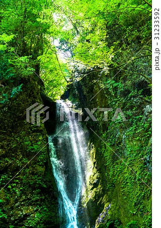 《東京都》海沢渓谷・大滝《奥多摩》 《東京都》海沢渓谷・大滝《奥多摩》 31233592